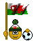05 Flaggenkunterbunt 016 Smiley – Fussball